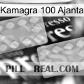 Kamagra 100 Ajanta 17